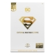 DC Multiverse - Figurine Superman (Centennial Park Tribute Statue) Gold Label 18 cm