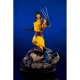 Marvel Comics - Statuette 1/6 PrototypeZ Wolverine by Erick Sosa 35 cm