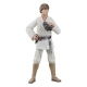 Star Wars Episode IV Black Series - Figurine Luke Skywalker 15 cm