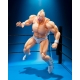 Kinnikuman - Figurine S.H.Figuarts Kinnikuman Perfect Origin Arc 16 cm