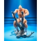 Kinnikuman - Figurine S.H.Figuarts Kinnikuman Perfect Origin Arc 16 cm