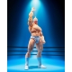 Kinnikuman - Figurine S.H.Figuarts Kinnikuman Perfect Origin Arc 16 cm