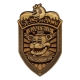 Five Nights at Freddy's - Réplique Security Badge