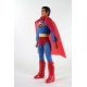 DC Comics : World's Greatest Super-Heroes - Figurine Superman 50th Anniversary 20 cm