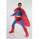 DC Comics : World's Greatest Super-Heroes - Figurine Superman 50th Anniversary 20 cm