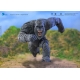 Godzilla X Kong: The New Empire - Figurine Exquisite Basic Kong 16 cm