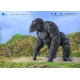 Godzilla X Kong: The New Empire - Figurine Exquisite Basic Kong 16 cm