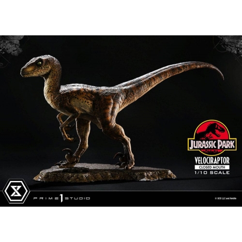 Jurassic Park - Statuette Prime Collectibles 1/10 Velociraptor Closed Mouth 19 cm