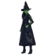 Wicked - Poupée Elphaba 29 cm