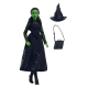 Wicked - Poupée Elphaba 29 cm