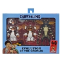 Gremlins - Figurines Evolution of a Gremlin 40th Anniversary Box Set 18 cm