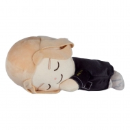 Tokyo Revengers - Peluche Mocchi-Mocchi Manjiro Sano Sleeping 20 cm