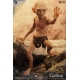 Le Seigneur des Anneaux - Figurine 1/6 Gollum 20 cm