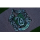 Harry Potter - Echarpe Serpentard Bold Stripes (Boxed) 160 cm