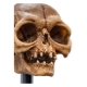 Le Seigneur des Anneaux - Statuette Skull of Gollum 13 cm