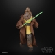 Star Wars : The Acolyte Black Series - Figurine Jedi Master Kelnacca 15 cm