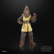 Star Wars : The Acolyte Black Series - Figurine Jedi Master Kelnacca 15 cm