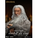 Le Seigneur des Anneaux - Figurine Dynamic Action Heroes 1/9 Gandalf le Gris 21 cm