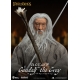 Le Seigneur des Anneaux - Figurine Dynamic Action Heroes 1/9 Gandalf le Gris 21 cm