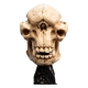 Le Seigneur des Anneaux - Statuette Skull of a Cave Troll 21 cm