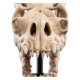 Le Seigneur des Anneaux - Statuette Skull of a Fell Beast 21 cm