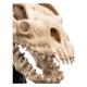 Le Seigneur des Anneaux - Statuette Skull of a Fell Beast 21 cm