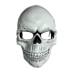 James Bond 007 Spectre - Réplique 1/1 Day Of The Dead Mask Limited Edition 29 cm