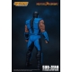 Mortal Kombat - Figurine 1/12 Sub-Zero 16 cm