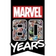 Marvel 80th Anniversary - Puzzle Panorama Characters