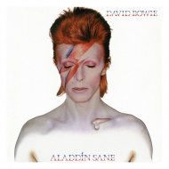 David Bowie - Puzzle Rock Saws Aladdin Sane (500 pièces)