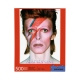 David Bowie - Puzzle Aladdin Sane (500 pièces)