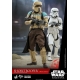 Star Wars Rogue One : A  Story - Figurine 1/6 Shoretrooper Squad Leader 30 cm